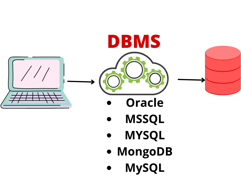 DBMS mangement system