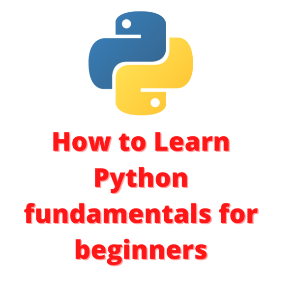 How to Learn Python fundamentals for beginners
