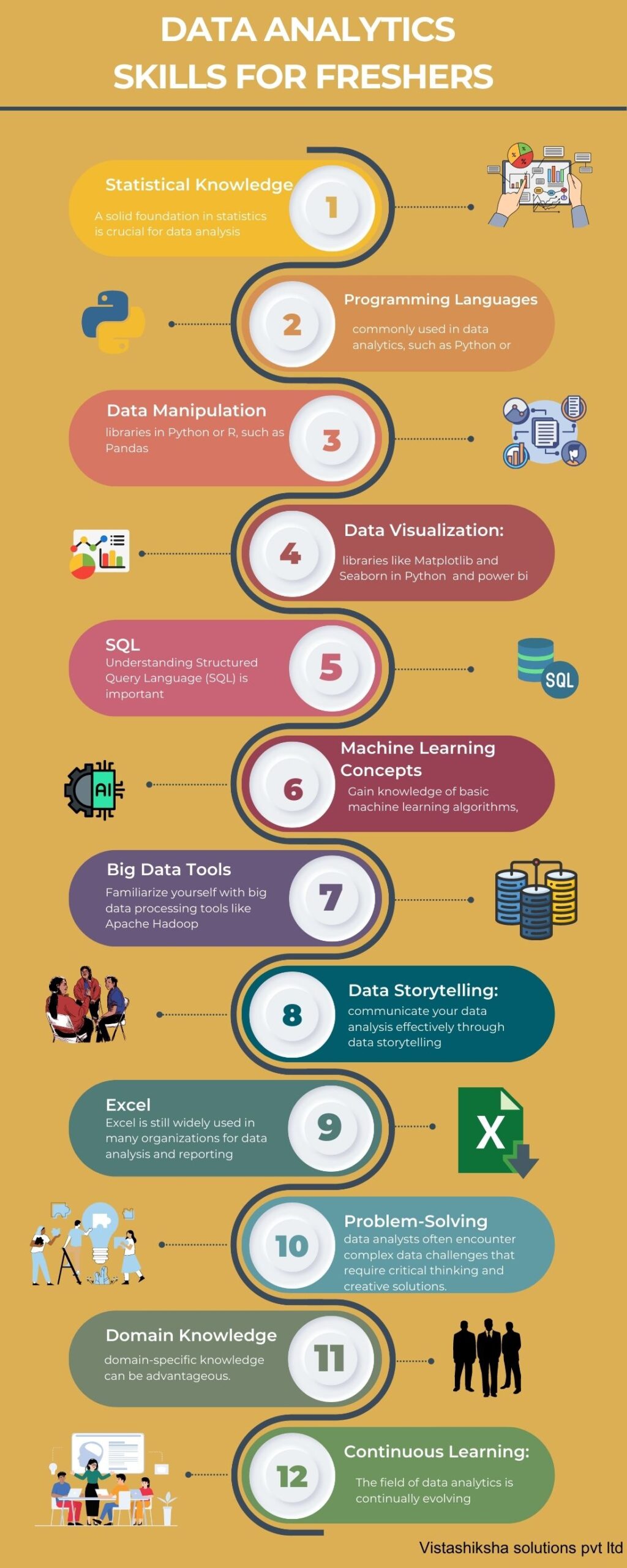 Data Analytics Skills for Freshers infographic